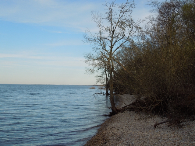 В новгородском озере Ильмень ожидается опасный рост уровня воды