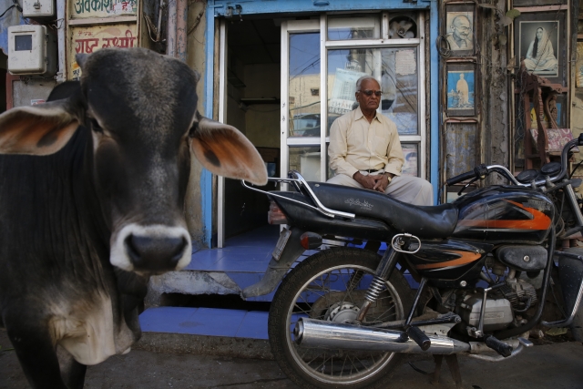 В Джодхпуре, как и во всей Индии, люди любят передвигаться на мотоциклах — по некоторым улочкам не проехать на машине. Также очень популярен велосипед