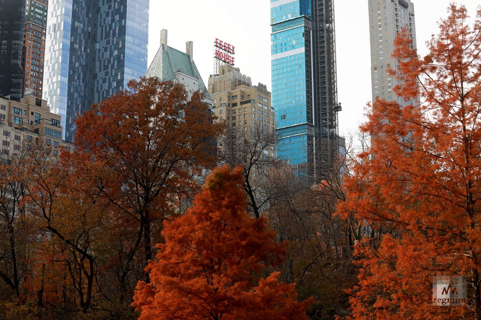 Осень в Нью-Йорке фото 2022 года