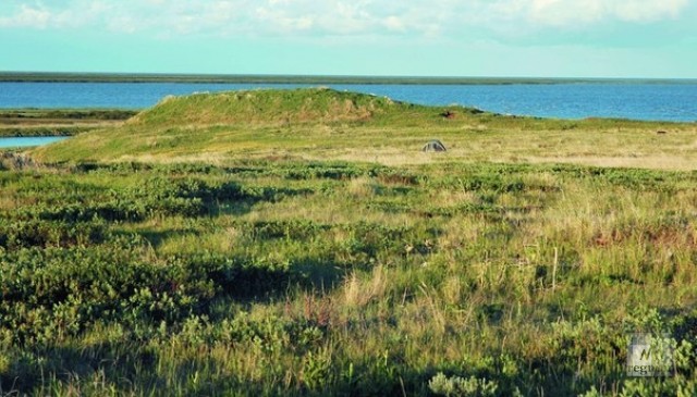 Городище сихиртя в бухте Находка, южная часть Ямала. Раскопки проведены в 2006—2009 гг. археологом О. Кардашем
