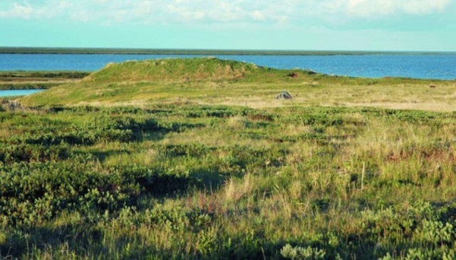 Городище сихиртя в бухте Находка исследованное в 2006 году археологом О.Кардашем