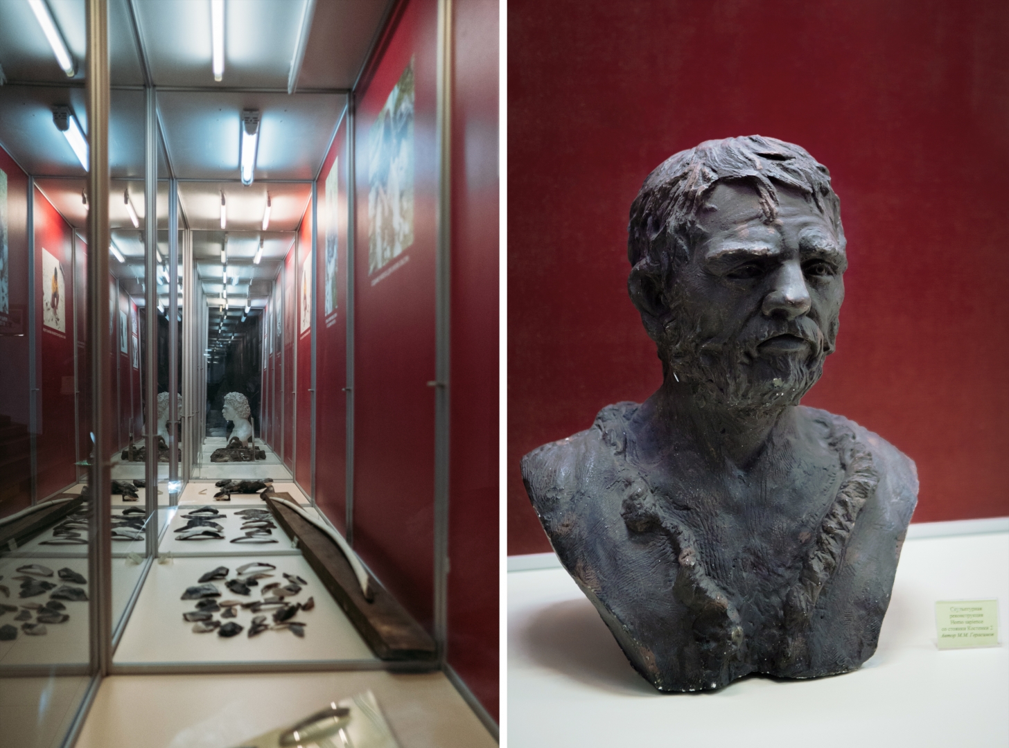 Слева: экспонаты музея. Справа: cкульптурная реконструкция человека со стоянки Костенки 2, автор М. М. Герасимов