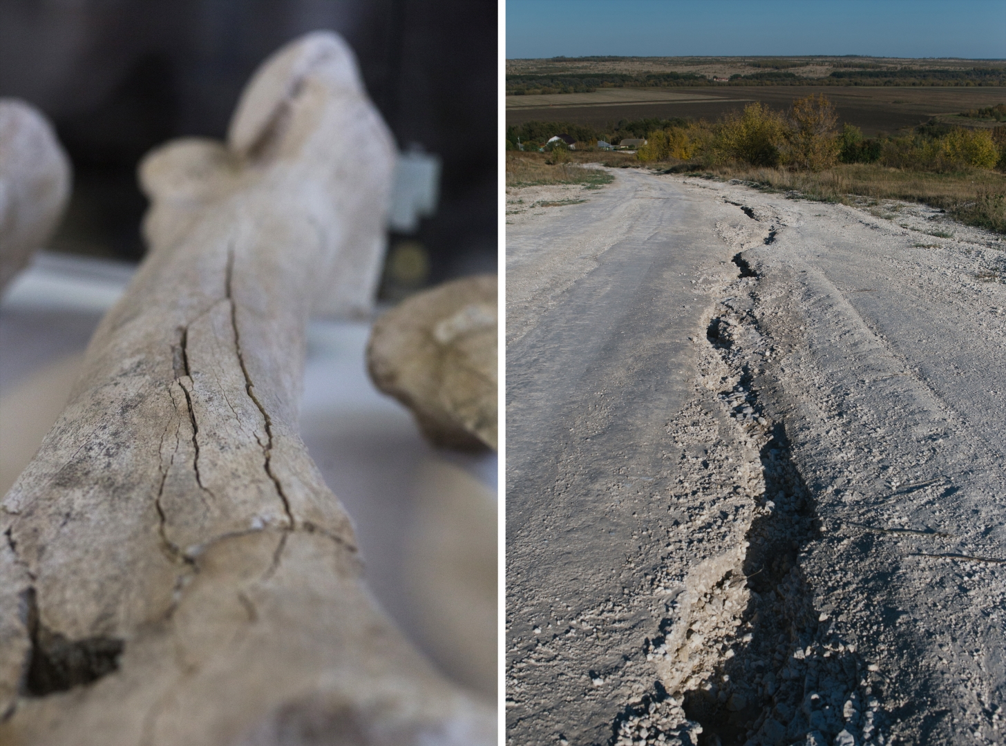 Слева: трубчатая кость задних конечностей мамонта, 1-й культурный слой стоянки Костенки-1, 22 000 лет назад