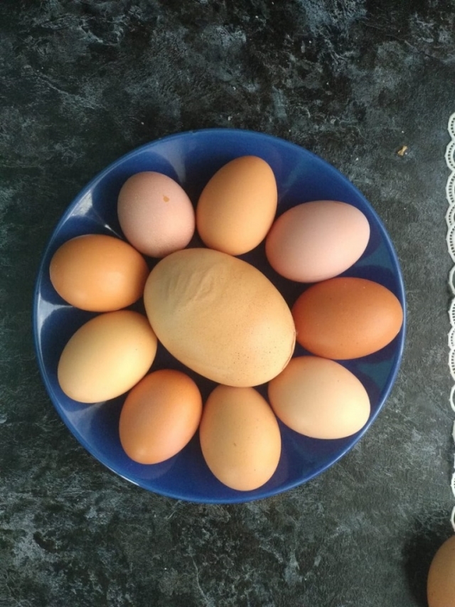 В калужской деревне курица снесла гигантское яйцо-рекордсмен