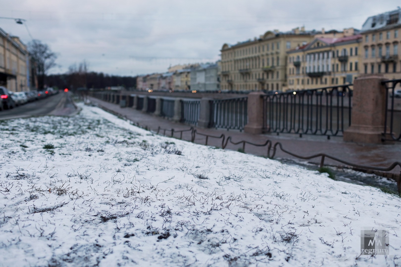 Снег в питере сегодня фото