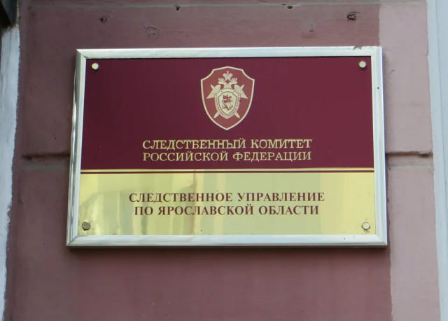 Жительницу Ярославской области осудили за истязание ребенка