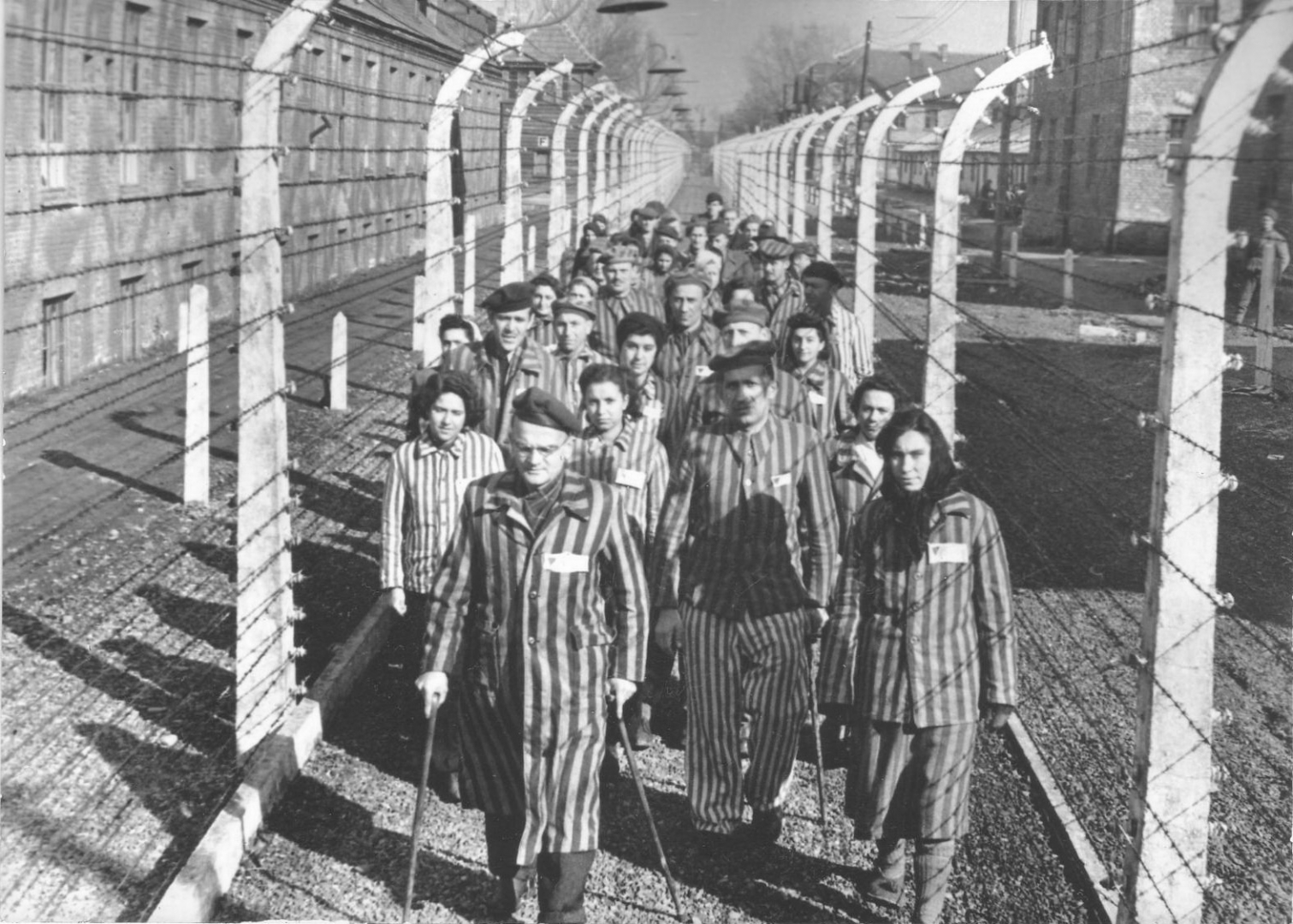 Освенцим 2 фото