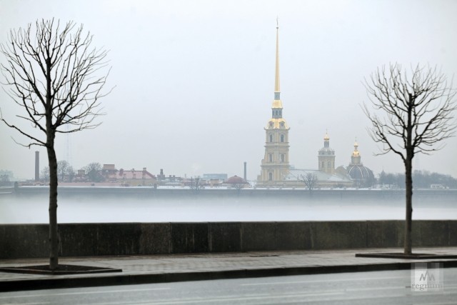 В Петербурге вводят карантин из-за коронавируса с 16 марта