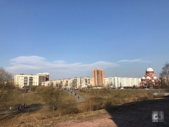 В парках Петербурга ажиотаж — самоизоляцию растопило солнце