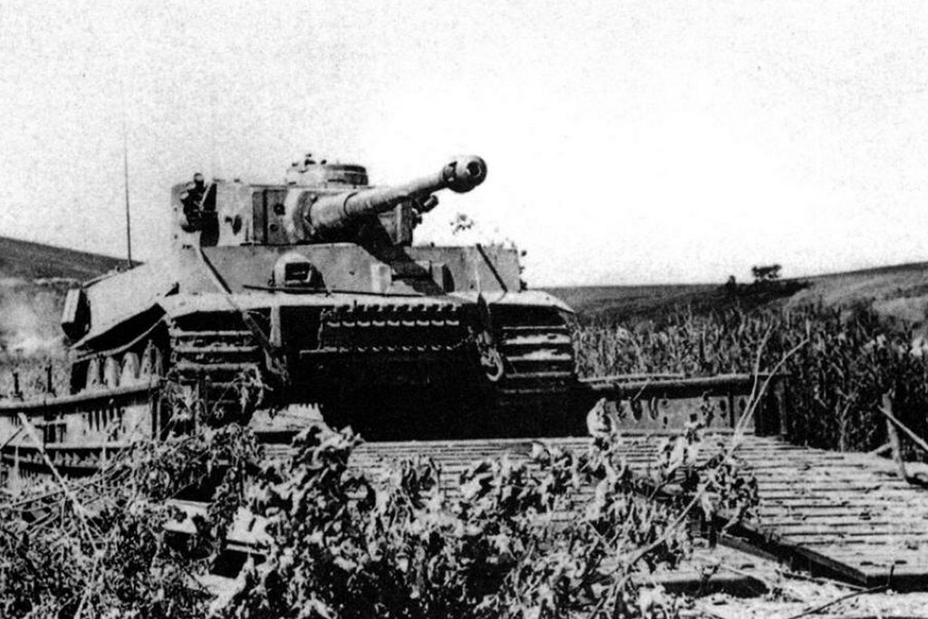 Танк тигр 1943 года. Михайловский плацдарм 1943 тигры. Тигр Белгород 1943. Танк тигр 1943 год. Немецкие танки в Белгородской области 1941-1945.