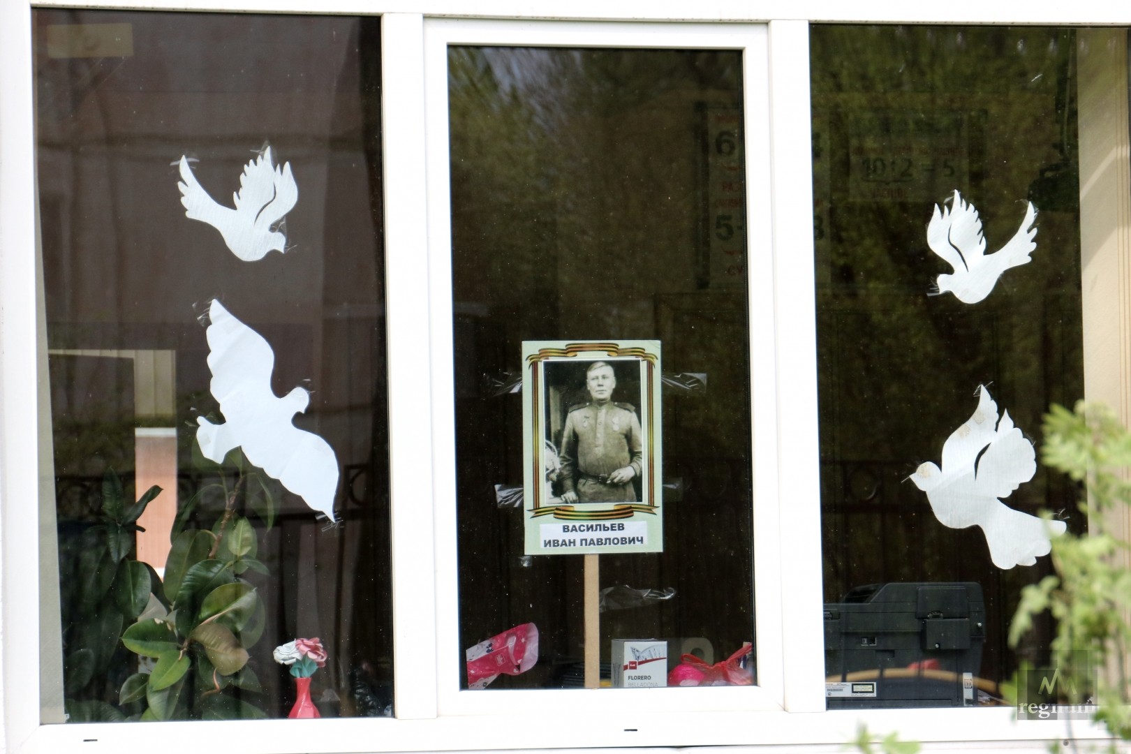 Голуби на окна к 9 мая. Украшение окон голубями. Бумажные голуби на окно. Журавли для украшения окон. Голубь для декора окна.