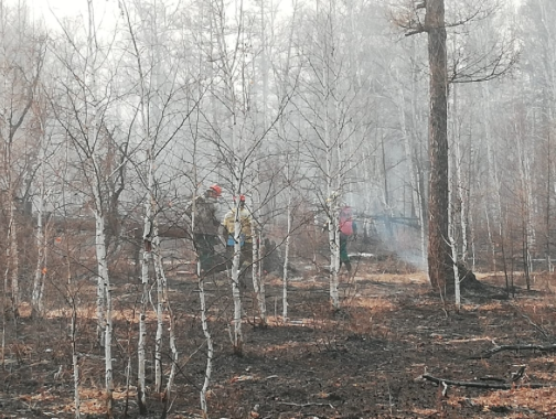 Осадки помогли потушить пожары в Забайкалье