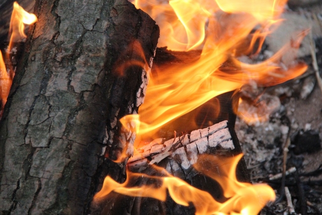 В Ярославской области при пожаре погибли трое детей