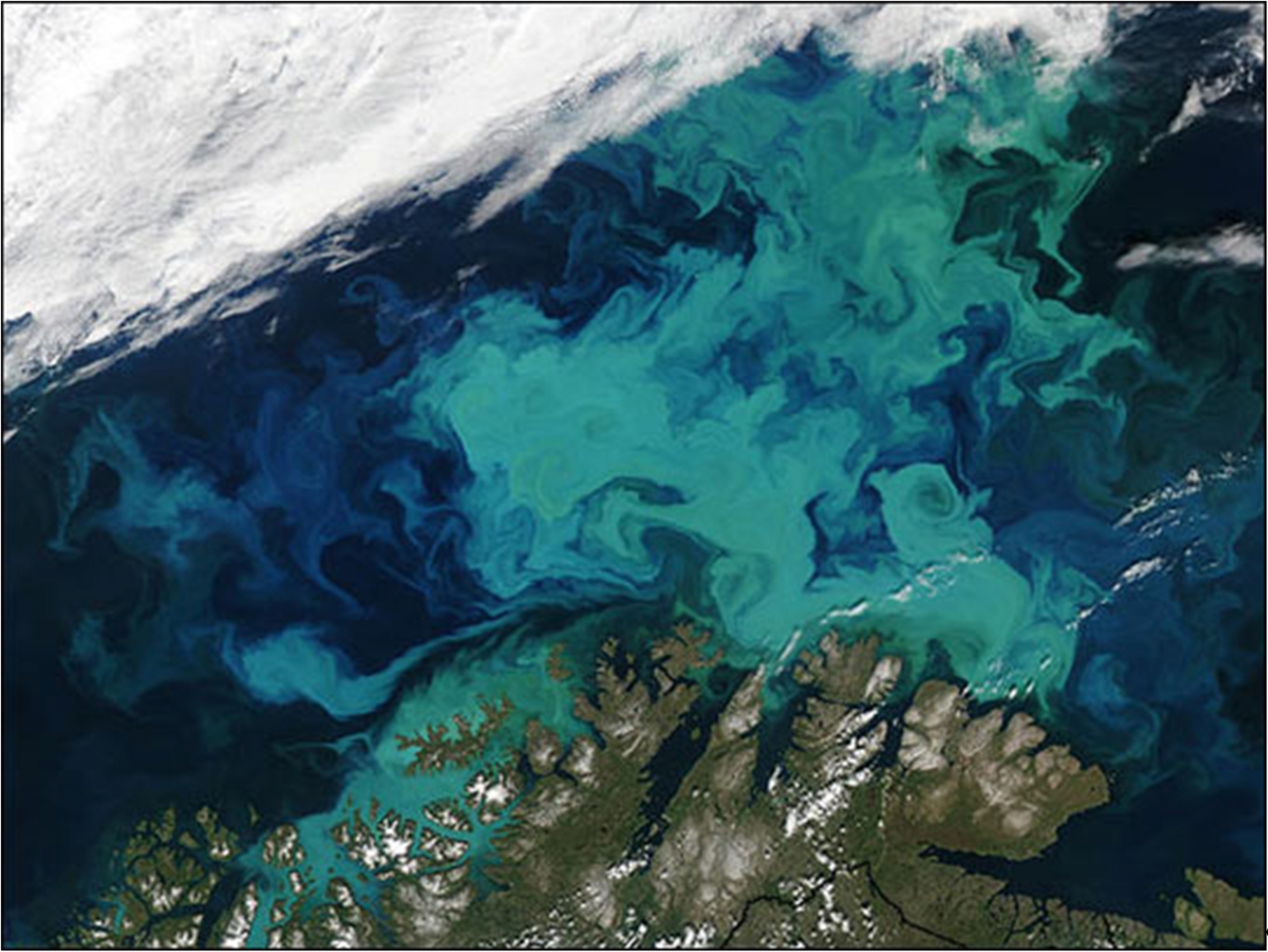 Баренцево море снимок из космоса