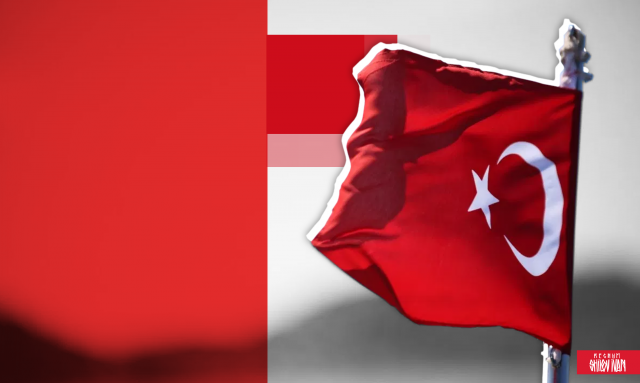 Турция ищет выход из политического кризиса