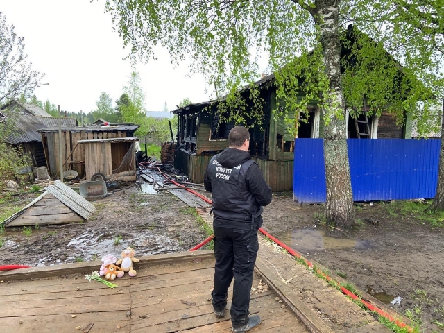 Названа причина гибели детей при пожаре в Костромской области