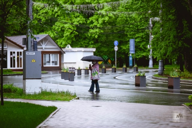 Работают ли парки. Камеры в парке Сокольники. Парк Сокольники в апреле. Сокольники чайная в парке. Прилегающая территория к парку Сокольники.