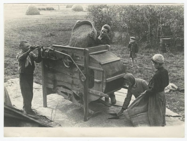 Сортировка зерна в колхозе. 1942