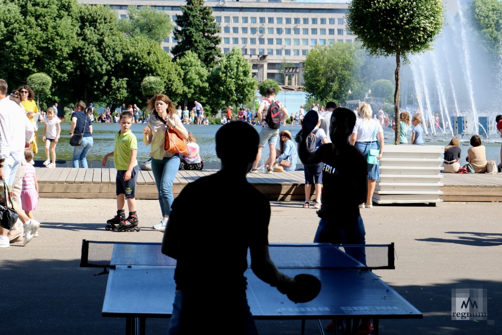 Теннисные столы в парке сокольники
