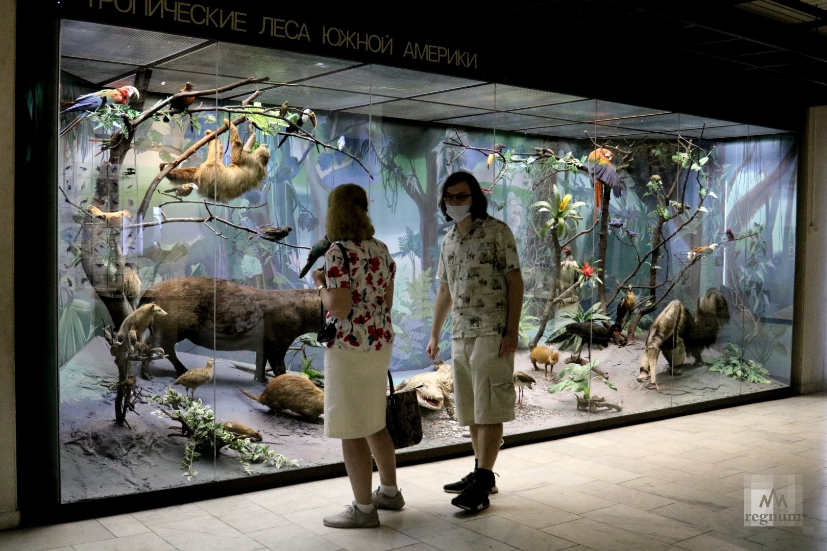 Дарвиновский музей в москве цена