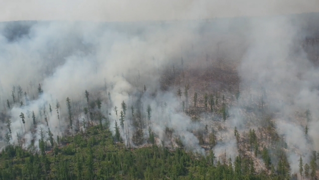 Лесной пожар. Иркутская область