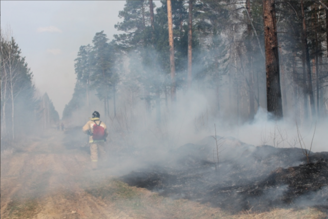 Дым лесных пожаров окутал 18 населённых пунктов Приангарья