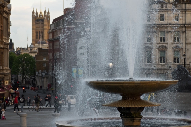 Зоозащитники в Лондоне испортили фонтан на Трафальгарской площади