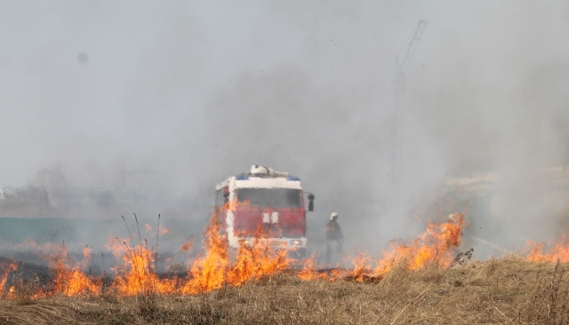 Природный пожар в Алтайском крае
