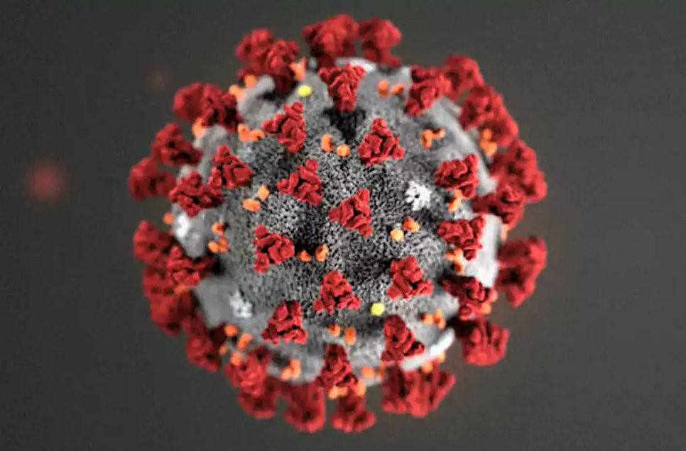 Производство вакцины от коронавируса может начаться в Ярославле в сентябре