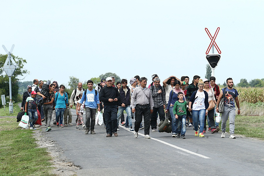 Губернатор Венеции: нелегальным мигрантам следует отправиться домой