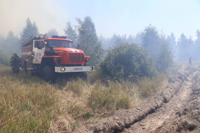 Борьба с лесным пожаром в Мишкинском районе Курганской области