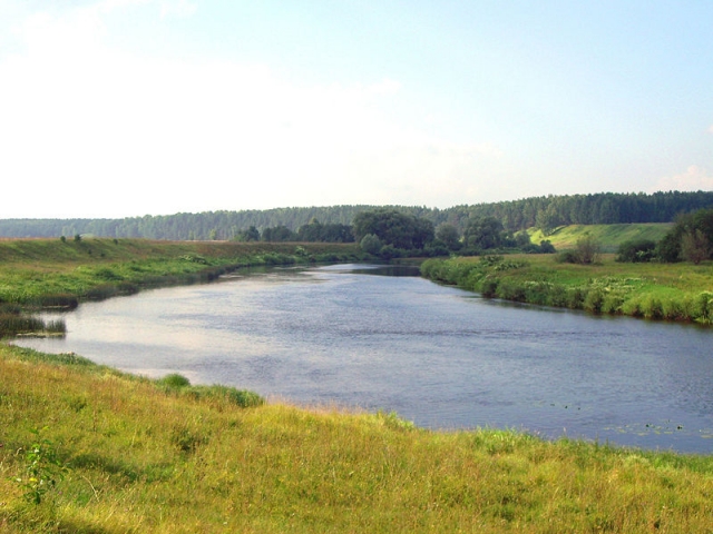 В Калужской области в реке Угре нашли тело убитого мужчины