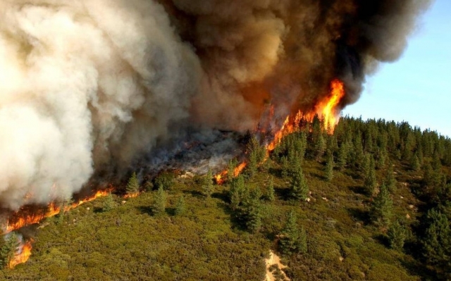 Красноярский край накрыло дымом от якутских лесных пожаров