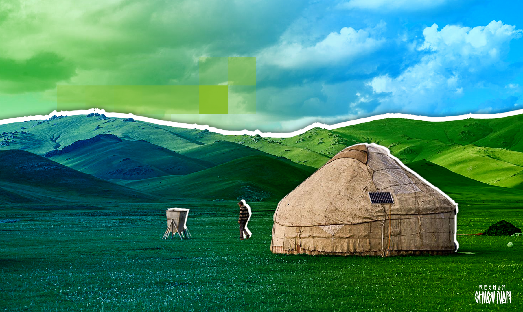 Как спасти киргизского мериноса — проблемы и перспективы - Олег Кудяков ...