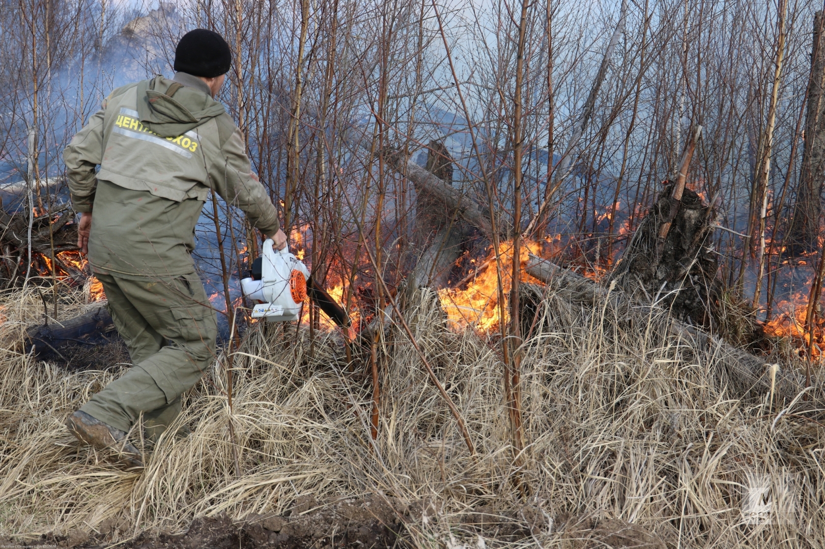 В Ленобласти пожарный погиб во время тушения огня в лесу