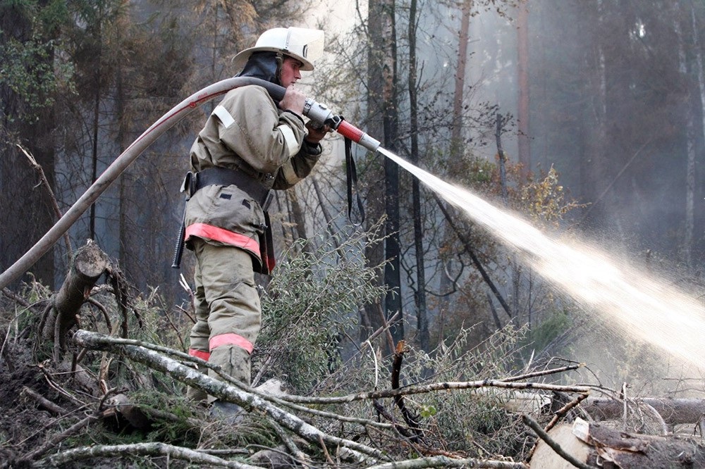 На Кубани ликвидировали крупный лесной пожар в заповеднике Утриш