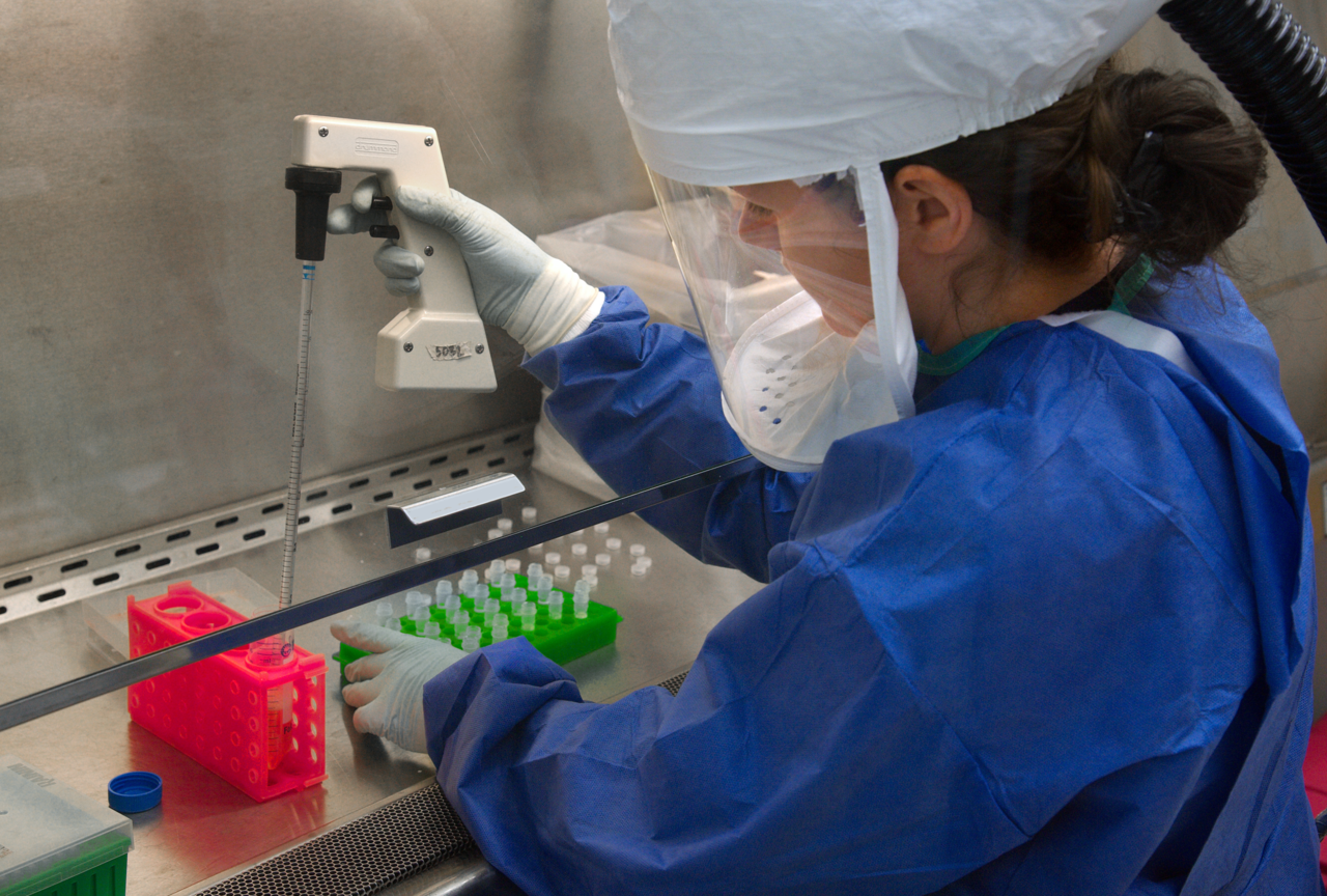 В Удмуртии провели более 276 тыс. исследований на коронавирус