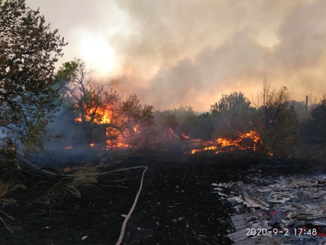 Опубликованы фотографии с места мощного лесного пожара в Ростовской области