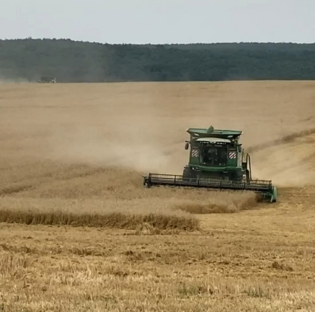 Порядка 180 тыс. тонн зерна намолочено калужскими аграриями