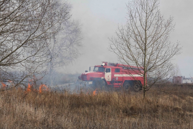 140 станичников покинули дома из-за лесного пожара в Ростовской области