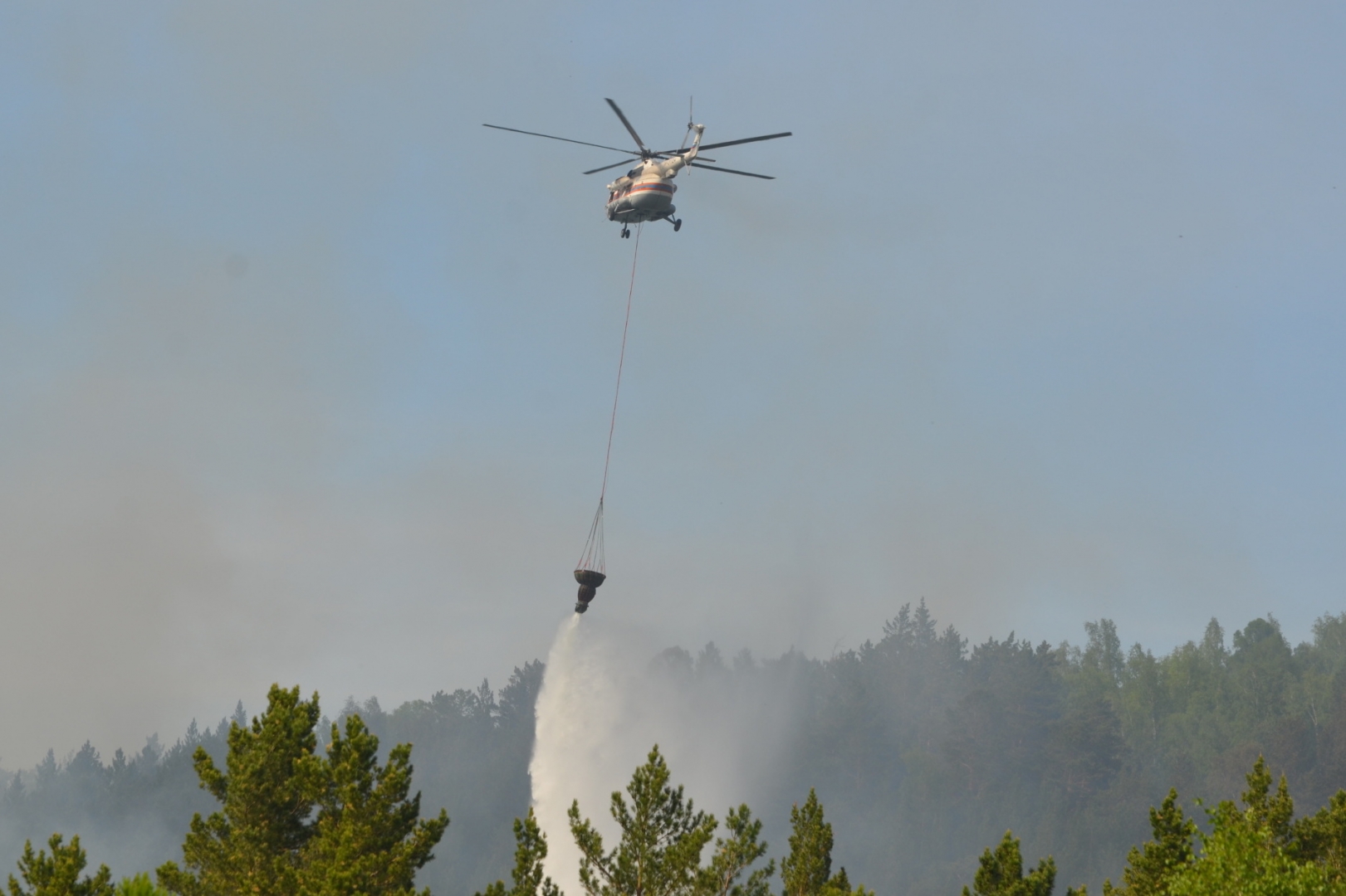Лесной пожар в Тарасовском районе Ростовской области тушат с воздуха