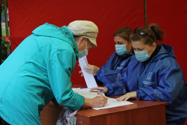 Голосование на придомовом избирательном участке. Московская область 