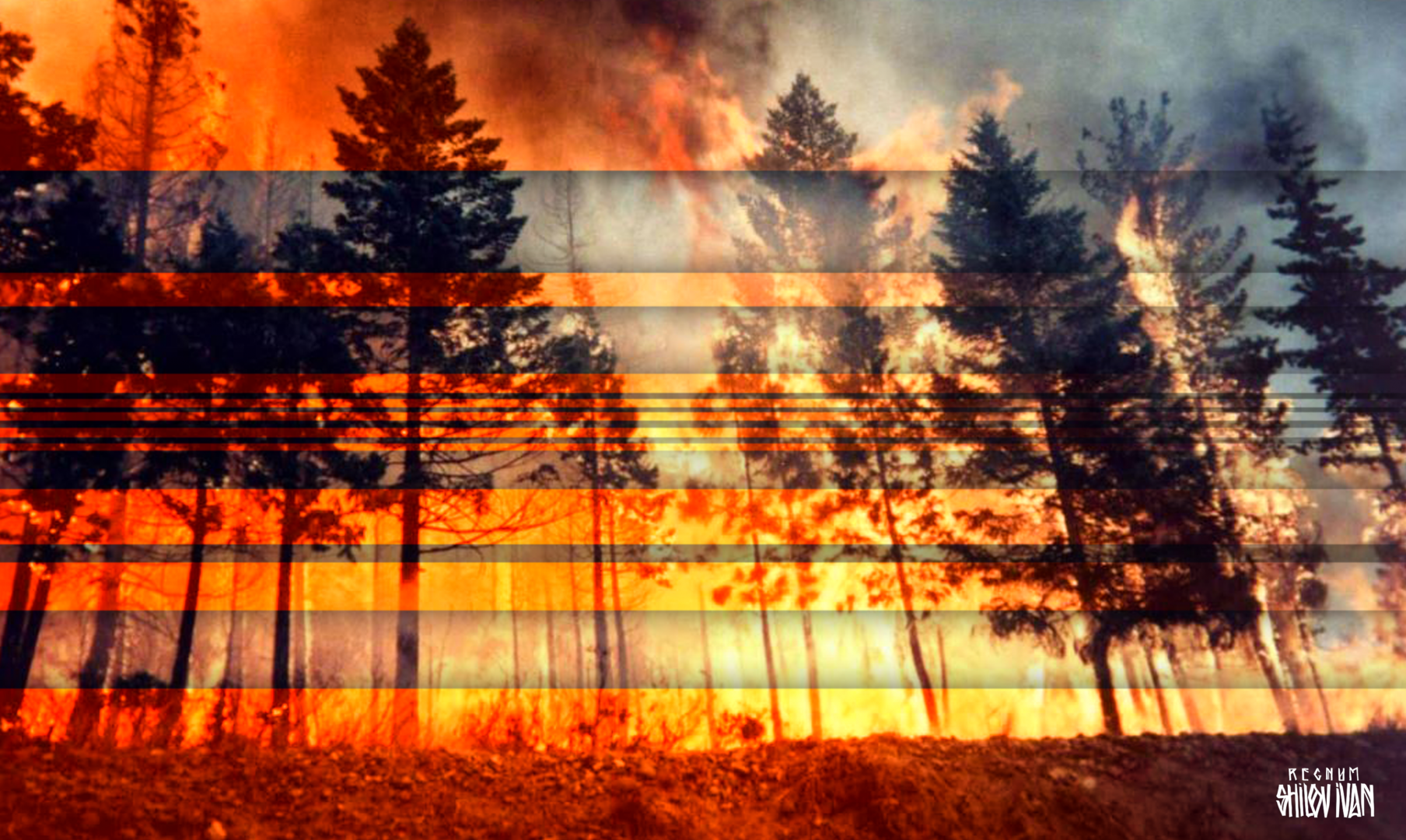 В Чувашии за сутки произошли два лесных пожара