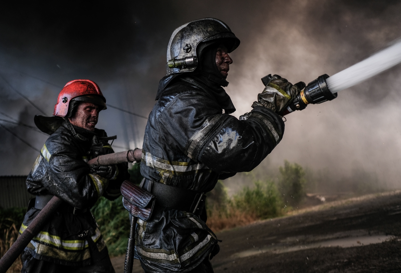 В Воронежской области природный пожар уничтожил жилые дома