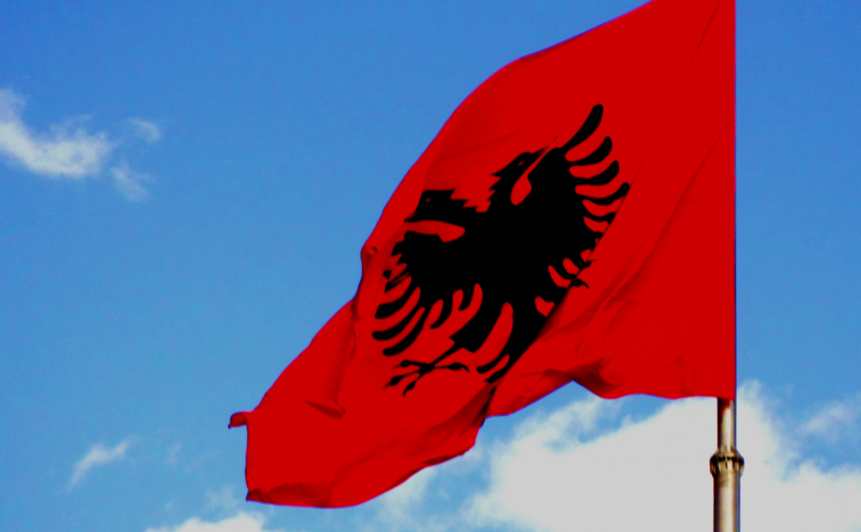 Албанский Флаг Фото