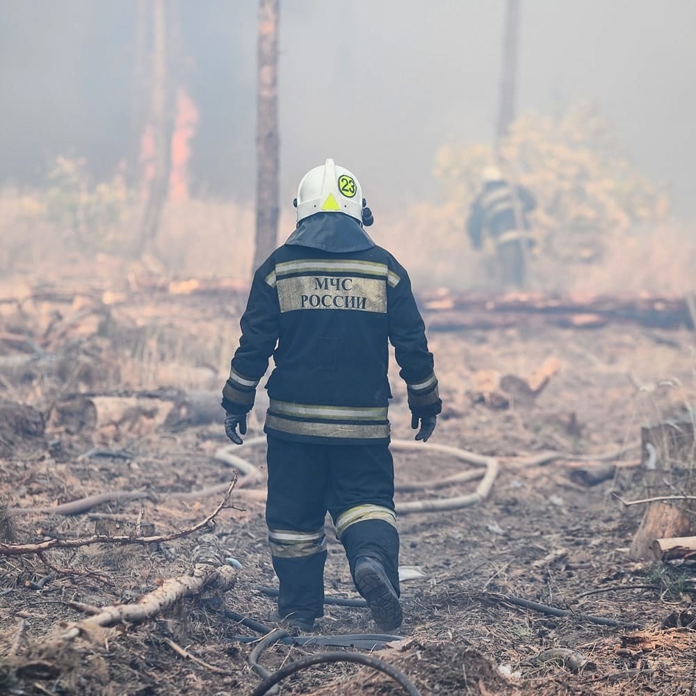 Воронежские спасатели сообщили о двух природных пожарах