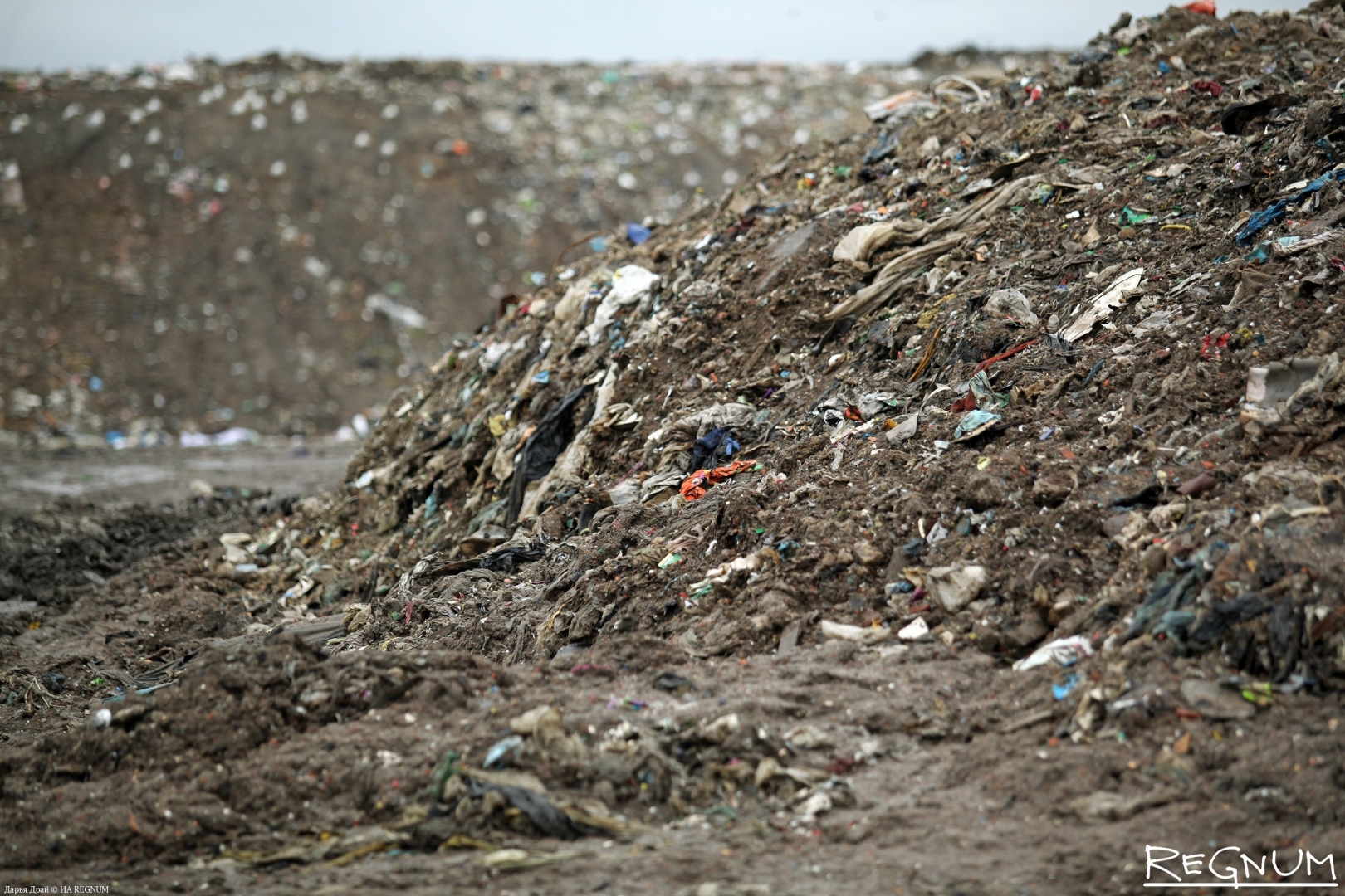 В России утверждены единые требования к переработке мусора
