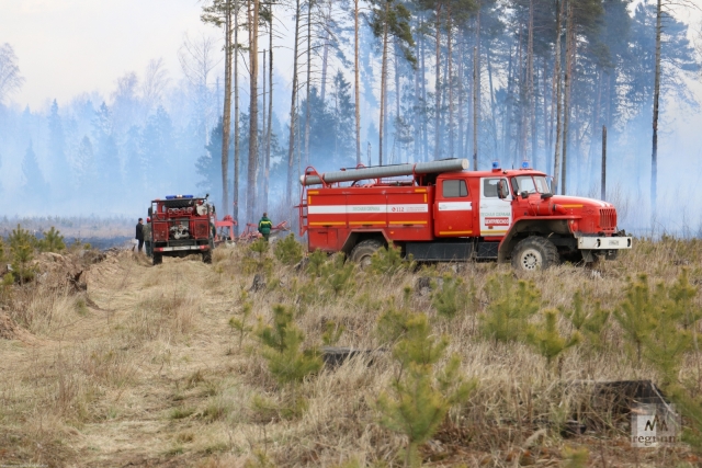 В Карачаево-Черкесии обнаружены два лесных пожара