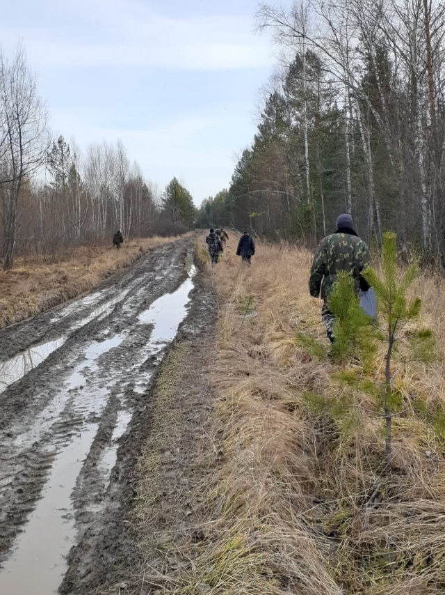 В Томской области нашли мужчину, блуждавшего по лесу почти неделю