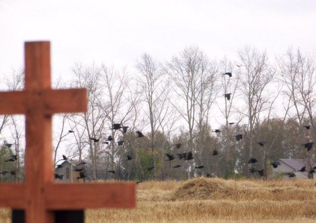 В Костромской области тела умерших «путешествуют» по 200 километров